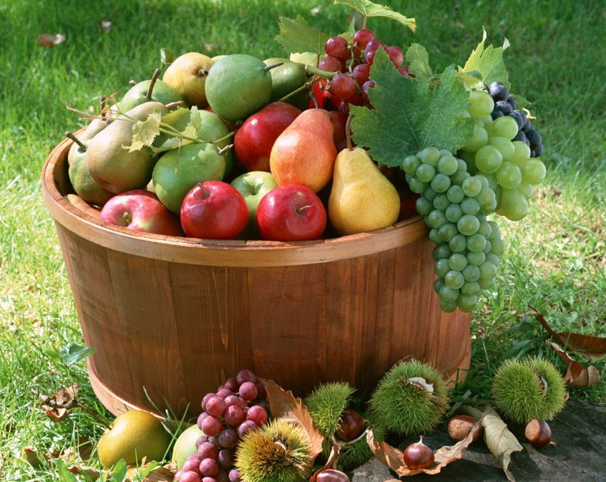 大型果蔬氣調(diào)庫工程設計冷庫安裝