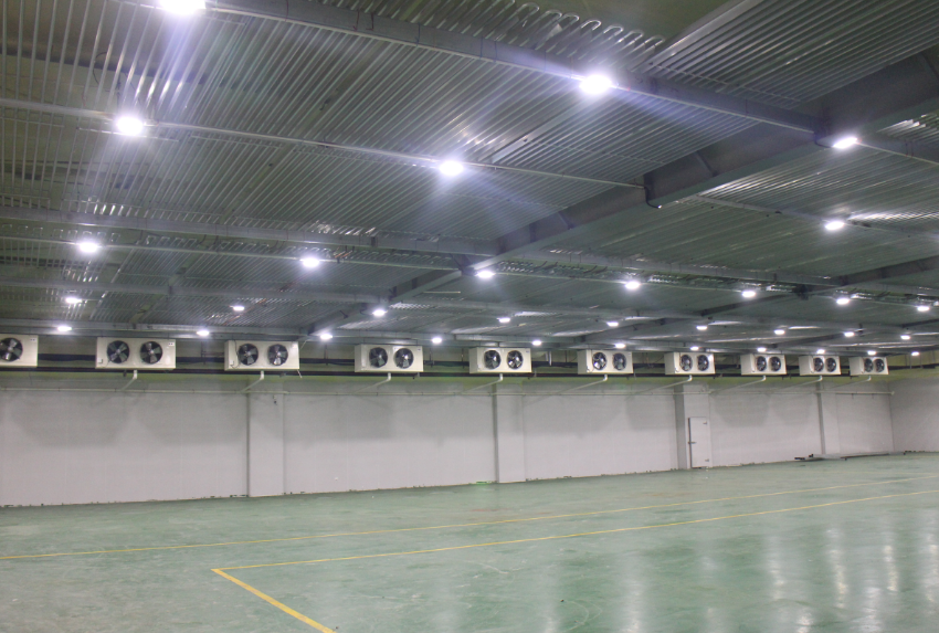 一個(gè)300噸香梨冷藏庫預(yù)算、香梨冷藏庫造價(jià)多少