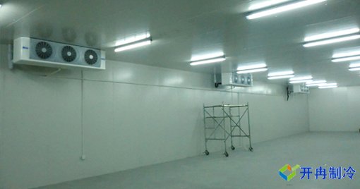 大型果蔬農(nóng)產(chǎn)品物流冷庫，冷藏庫建造及運(yùn)營成本預(yù)算