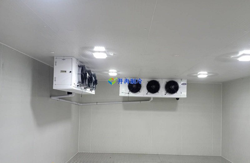 三甲醫(yī)院冷庫(kù),體外診斷試劑冷庫(kù)